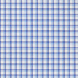 Zephir Blue Checked Cotton Shirt